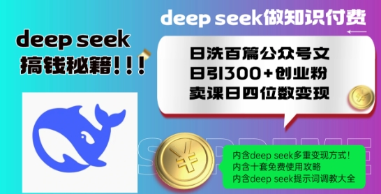 2024速卖通半托管从0到1实战必修课，掌握通投广告打法、熟悉速卖通半托管的政策细节