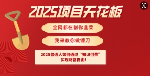 引爆蝴蝶号实操运营，助力你深度掌握蝴蝶号运营，实现高效实操，开启流量变现之路