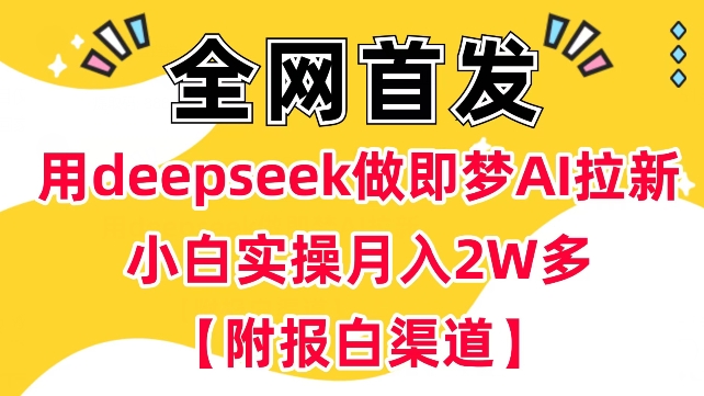 6亿群体蓝海市场，零经验小白用一台电脑，如何轻松月入过w【揭秘】
