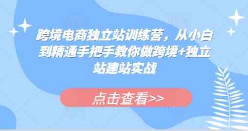 跨境电商独立站训练营，从小白到精通手把手教你做跨境+独立站建站实战