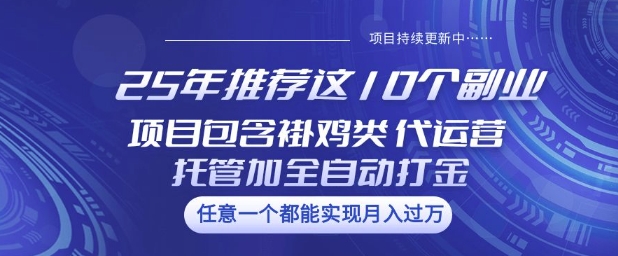 2024TikTok变现实操课程，入局TikTok必学内容